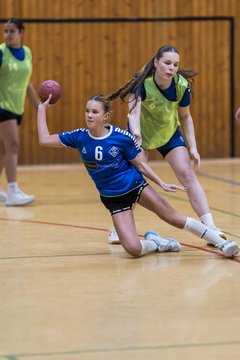 Bild 86 - wBJ TSV Ellerau - HSG Stoertal Hummeln : Ergebnis: 26:19